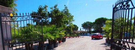 Débroussaillage à Eguille