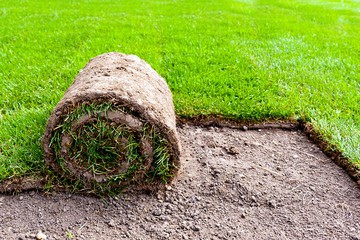 Nos 3 variétés de gazon naturel en rouleau - La Gazonnière