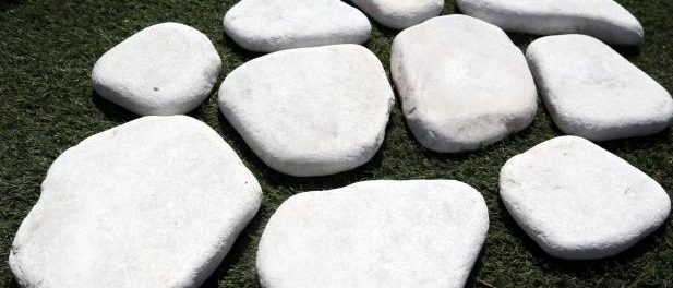 Discus - Pépinière Kresz Discus pour sentiers et allées de jardin élégants Pépinière Kresz Fuveau